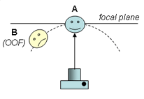 focus fig1