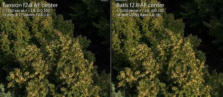 Confronto centro immagine Tamron 17-28 vs Batis 18mm a f2.8 - miniatura
