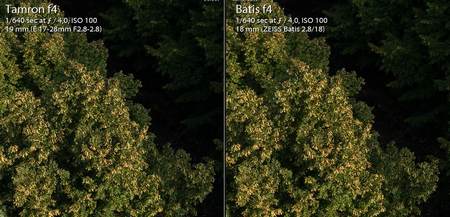 Center image comparison Tamron 17-28 vs Batis 18mm at f4 - thumbnail