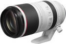 Canon RF 100-500mm F4.5-7.1 L IS USM